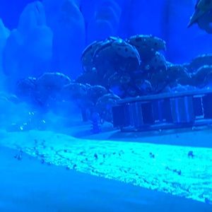 Meet your Posher, Zulima